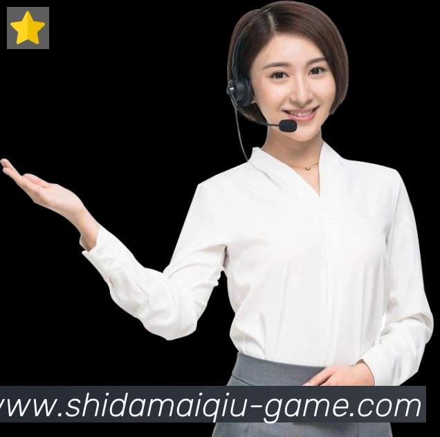 十大买球app品牌故事